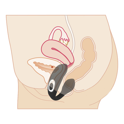 مضاد للماء مرونة G Spot Vibrator Vibrator للفتيات