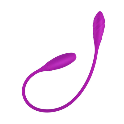أجهزة الهزاز المزدوجة الشرجية 6 أجهزة الهزاز متعددة السرعات G-spot Vibrator البيضة القابلة لإعادة الشحن الهزاز البظر للأزواج